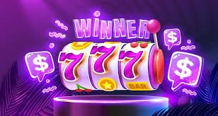 bet7